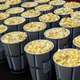Illustration for article titled Study shows male critics are more likely to bash films from female directorsem/em